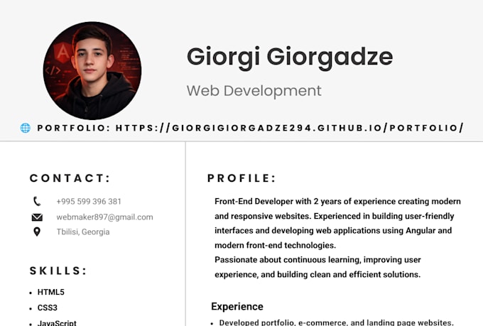 build a professional responsive website using angular